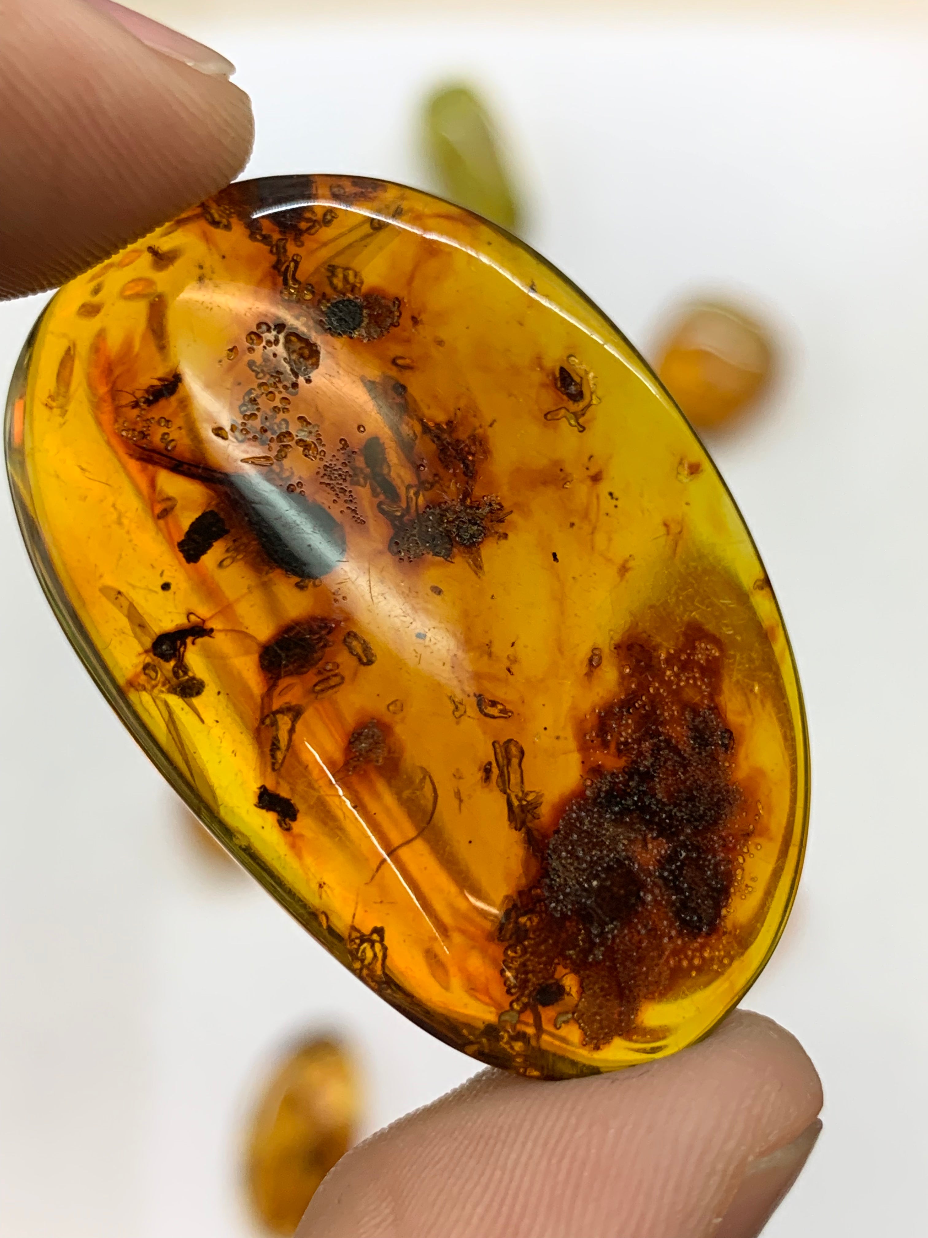 Honey Drop Amber - Lot 3 - 100 grams